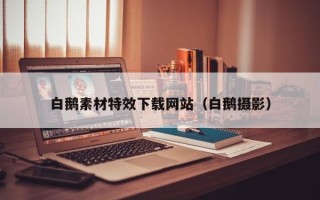 东方白鹅素材特效下载网站（白鹅摄影）